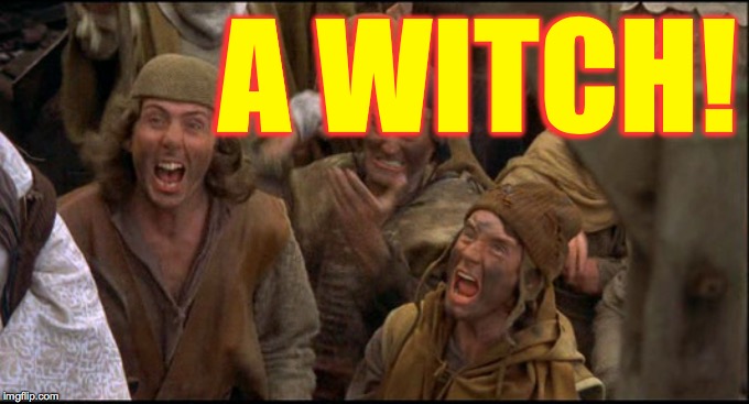 Burn her anyway | A WITCH! | image tagged in burn her anyway | made w/ Imgflip meme maker