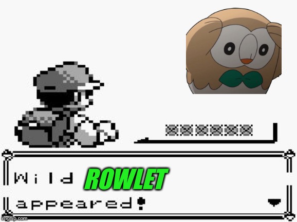 pokemon appears | ROWLET | image tagged in pokemon appears | made w/ Imgflip meme maker