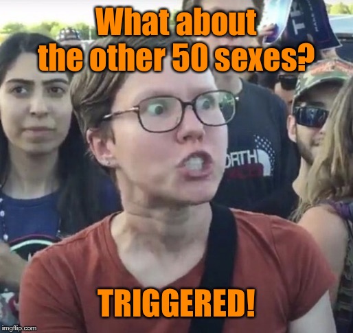 Triggered feminist | What about the other 50 sexes? TRIGGERED! | image tagged in triggered feminist | made w/ Imgflip meme maker