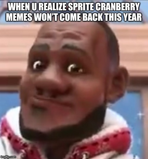 Rip sprite cranberry | WHEN U REALIZE SPRITE CRANBERRY MEMES WON’T COME BACK THIS YEAR | image tagged in wanna sprite cranberry | made w/ Imgflip meme maker