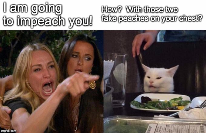 Plastic surgery cannot trump the meme cat. | I am going to impeach you! How?  With those two fake peaches on your chest? | image tagged in memes,woman yelling at cat,president trump | made w/ Imgflip meme maker
