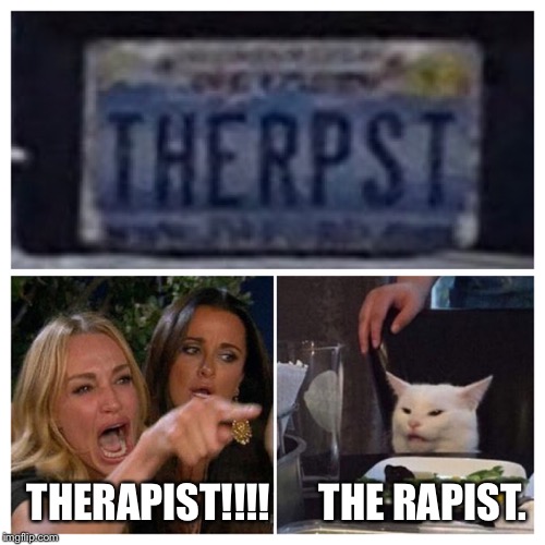 THERAPIST!!!!      THE RAPIST. | image tagged in woman screaming at cat | made w/ Imgflip meme maker
