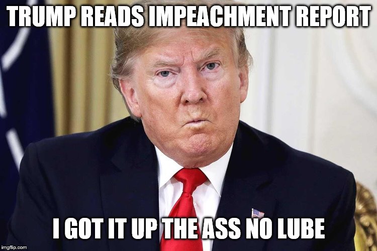 TRUMP READS IMPEACHMENT REPORT; I GOT IT UP THE ASS NO LUBE | made w/ Imgflip meme maker
