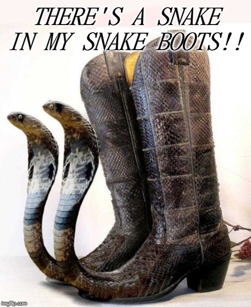 THERE'S A SNAKE IN MY SNAKE BOOTS!! | image tagged in snakeboots | made w/ Imgflip meme maker