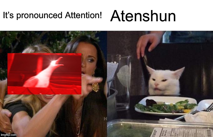 Woman Yelling At Cat | It’s pronounced Attention! Atenshun | image tagged in memes,woman yelling at cat | made w/ Imgflip meme maker