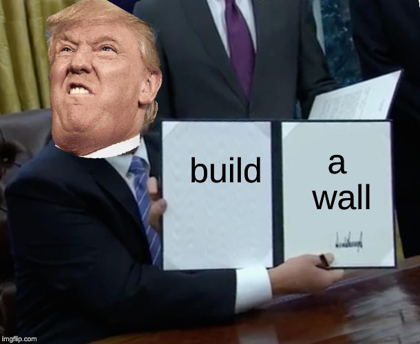 Trump Bill Signing Meme | build; a  wall | image tagged in memes,trump bill signing | made w/ Imgflip meme maker