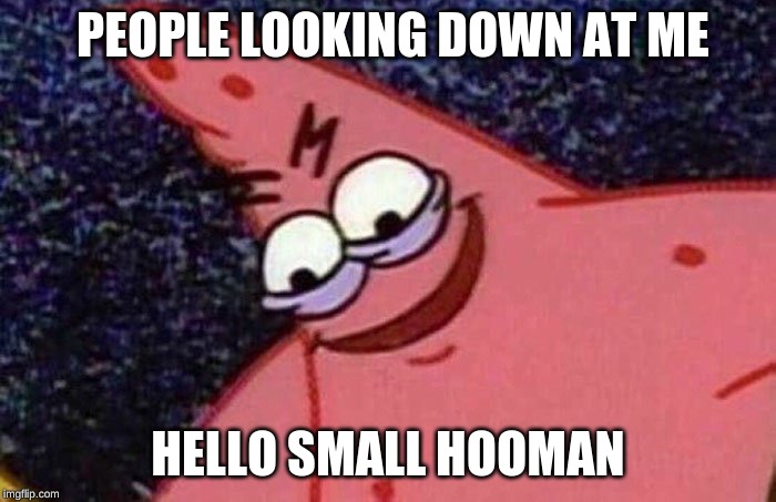 Evil Patrick  | PEOPLE LOOKING DOWN AT ME; HELLO SMALL HOOMAN | image tagged in evil patrick | made w/ Imgflip meme maker