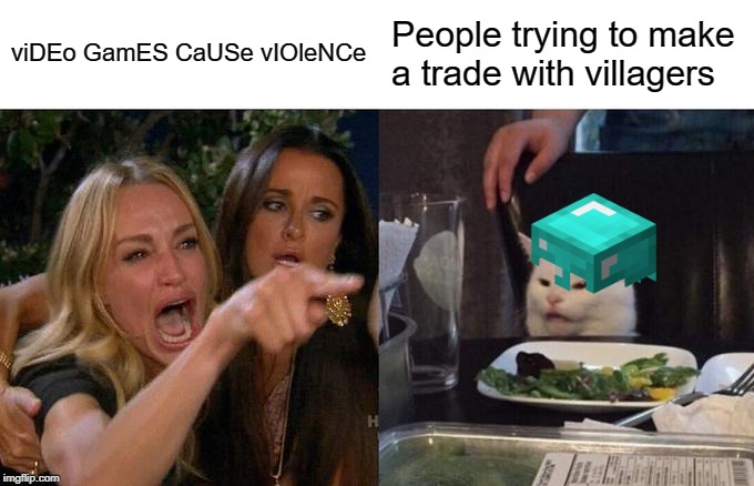 Woman Yelling At Cat | viDEo GamES CaUSe vIOleNCe; People trying to make a trade with villagers | image tagged in memes,woman yelling at cat | made w/ Imgflip meme maker