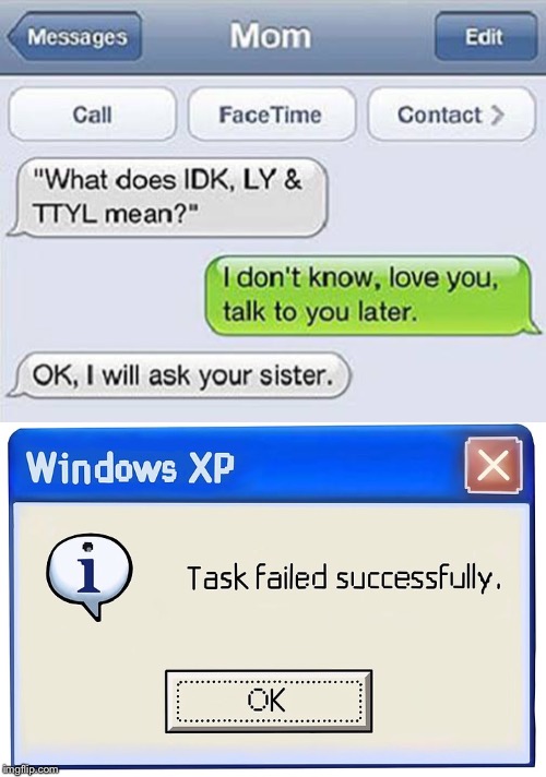 Lol! I’ll ask your sister then. | image tagged in funny,texting | made w/ Imgflip meme maker