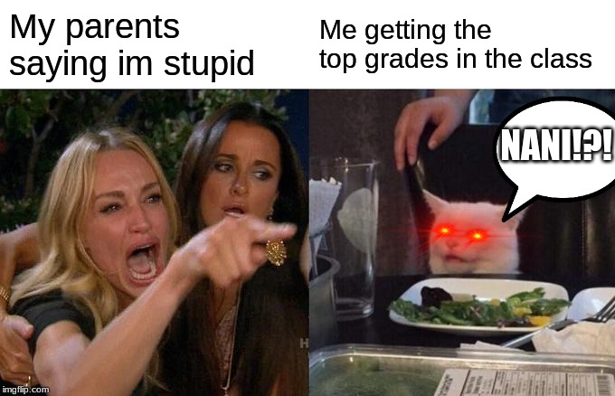 Woman Yelling At Cat | My parents saying im stupid; Me getting the top grades in the class; NANI!?! | image tagged in memes,woman yelling at cat | made w/ Imgflip meme maker