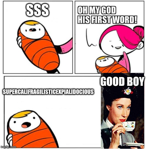 OMG His First Word! | SSS; GOOD BOY; SUPERCALIFRAGILISTICEXPIALIDOCIOUS | image tagged in omg his first word | made w/ Imgflip meme maker