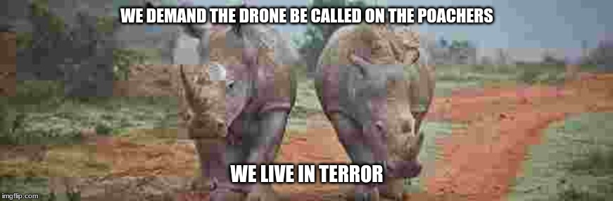 terrorist poachers | WE DEMAND THE DRONE BE CALLED ON THE POACHERS; WE LIVE IN TERROR | image tagged in wildlife,terrorists | made w/ Imgflip meme maker