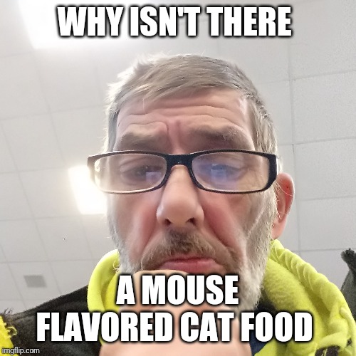 Pondering Bert | WHY ISN'T THERE; A MOUSE FLAVORED CAT FOOD | image tagged in pondering bert | made w/ Imgflip meme maker