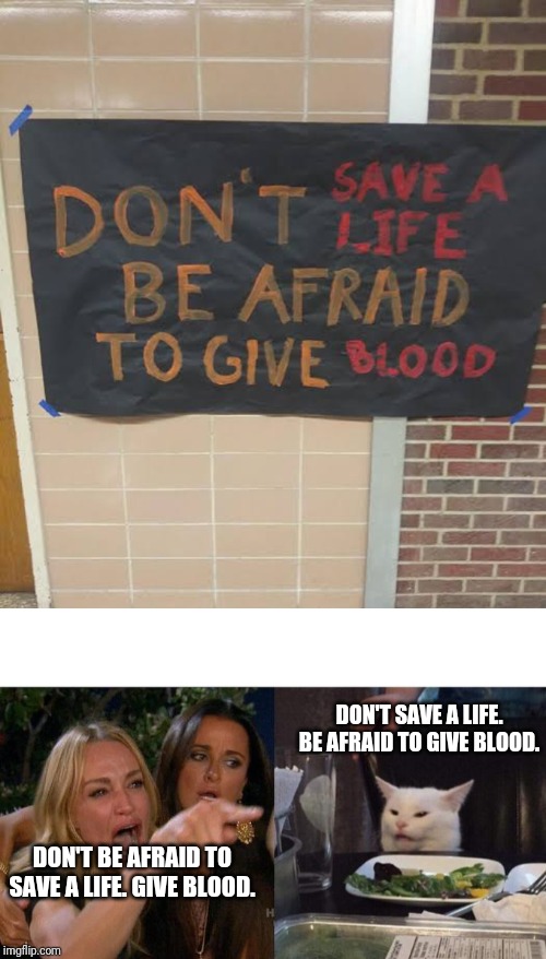 DON'T SAVE A LIFE. BE AFRAID TO GIVE BLOOD. DON'T BE AFRAID TO SAVE A LIFE. GIVE BLOOD. | image tagged in memes,woman yelling at cat | made w/ Imgflip meme maker