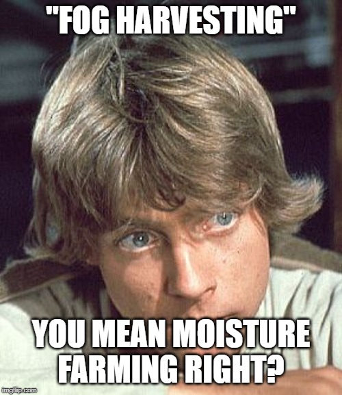 Luke Skywalker - I care | "FOG HARVESTING"; YOU MEAN MOISTURE FARMING RIGHT? | image tagged in luke skywalker - i care | made w/ Imgflip meme maker