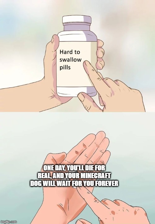 Hard To Swallow Pills | ONE DAY, YOU'LL DIE FOR REAL, AND YOUR MINECRAFT DOG WILL WAIT FOR YOU FOREVER | image tagged in memes,hard to swallow pills | made w/ Imgflip meme maker