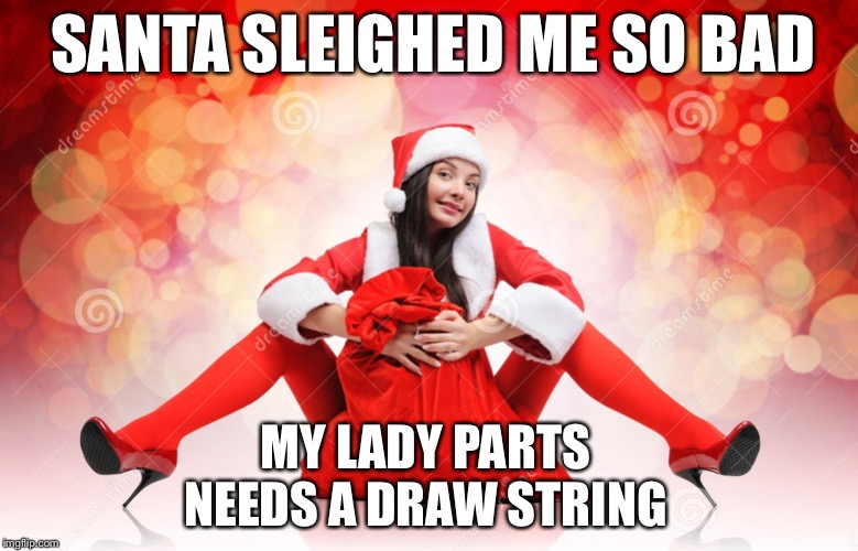 sexy elf Santa | SANTA SLEIGHED ME SO BAD; MY LADY PARTS NEEDS A DRAW STRING | image tagged in sexy elf santa | made w/ Imgflip meme maker