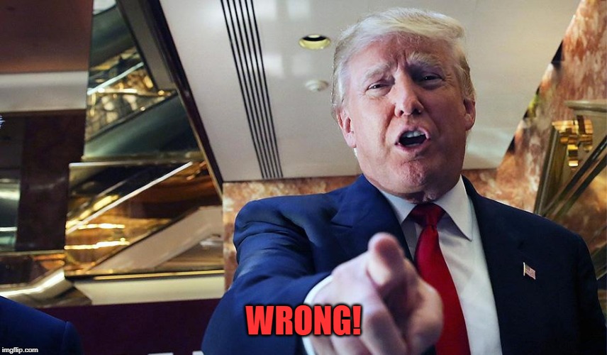 Trump I Want You | WRONG! | image tagged in trump burn | made w/ Imgflip meme maker