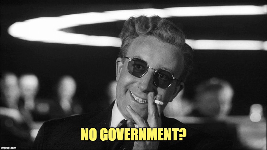 Doctor Strangelove says... | NO GOVERNMENT? | image tagged in doctor strangelove says | made w/ Imgflip meme maker