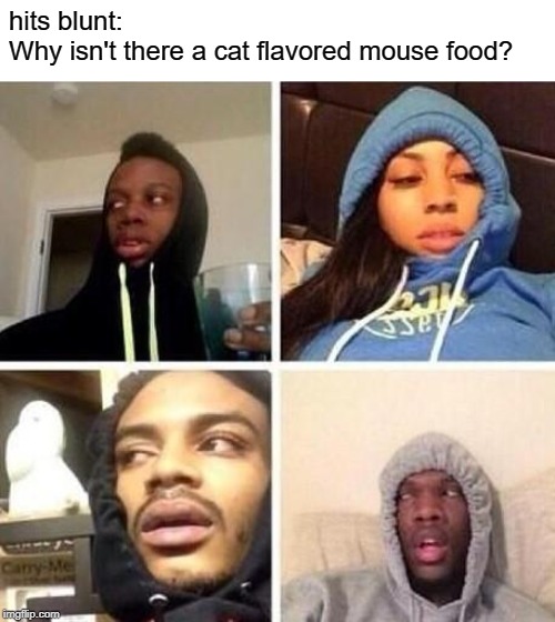 *Hits blunt | hits blunt:
Why isn't there a cat flavored mouse food? | image tagged in hits blunt | made w/ Imgflip meme maker