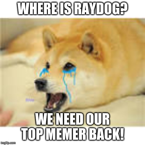 Raydog come back!!
((JK, Raydog you can take a break as long as you like,just please don't forget about us...)) | WHERE IS RAYDOG? WE NEED OUR TOP MEMER BACK! | image tagged in crying,doge | made w/ Imgflip meme maker