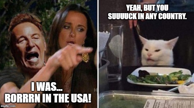 YEAH, BUT YOU
SUUUUCK IN ANY COUNTRY. I WAS... 
BORRRN IN THE USA! | image tagged in springsteen,woman yelling at cat | made w/ Imgflip meme maker
