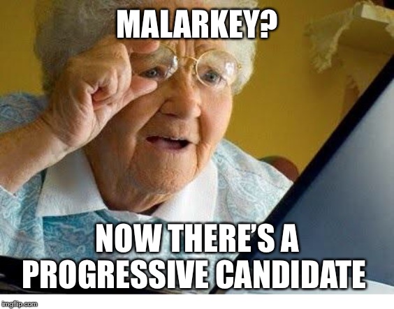 old lady at computer | MALARKEY? NOW THERE’S A PROGRESSIVE CANDIDATE | image tagged in old lady at computer | made w/ Imgflip meme maker