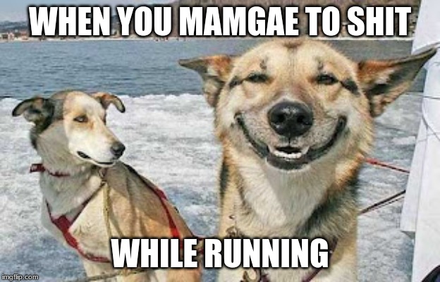 Original Stoner Dog | WHEN YOU MAMGAE TO SHIT; WHILE RUNNING | image tagged in memes,original stoner dog | made w/ Imgflip meme maker