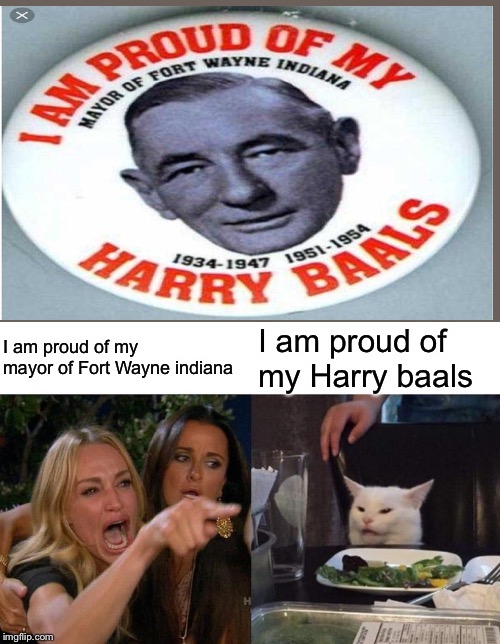 Woman Yelling At Cat | I am proud of my mayor of Fort Wayne indiana; I am proud of my Harry baals | image tagged in memes,woman yelling at cat | made w/ Imgflip meme maker