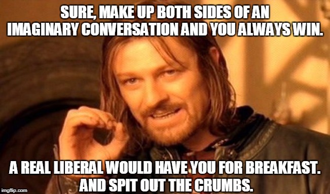 One Does Not Simply Meme | SURE, MAKE UP BOTH SIDES OF AN IMAGINARY CONVERSATION AND YOU ALWAYS WIN. A REAL LIBERAL WOULD HAVE YOU FOR BREAKFAST. 
AND SPIT OUT THE CRU | image tagged in memes,one does not simply | made w/ Imgflip meme maker