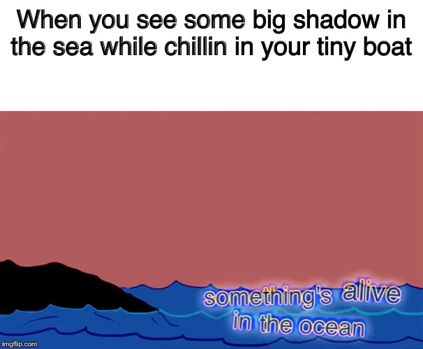 When you see some big shadow in the sea while chillin in your tiny boat | image tagged in meme top | made w/ Imgflip meme maker