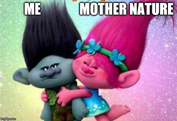 Trolls | ME               MOTHER NATURE | image tagged in trolls | made w/ Imgflip meme maker