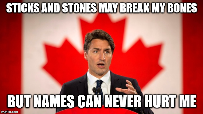 Sticks and Stones | STICKS AND STONES MAY BREAK MY BONES; BUT NAMES CAN NEVER HURT ME | image tagged in justin trudeau | made w/ Imgflip meme maker