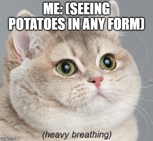 Heavy Breathing Cat | ME: (SEEING POTATOES IN ANY FORM) | image tagged in memes,heavy breathing cat | made w/ Imgflip meme maker