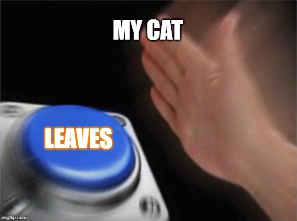 Blank Nut Button | MY CAT; LEAVES | image tagged in memes,blank nut button | made w/ Imgflip meme maker
