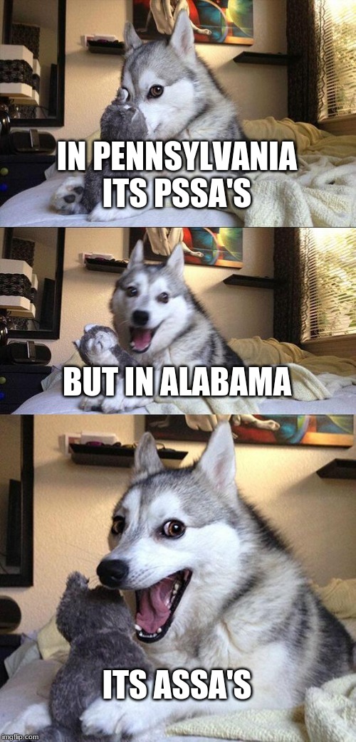 Bad Pun Dog Meme | IN PENNSYLVANIA ITS PSSA'S; BUT IN ALABAMA; ITS ASSA'S | image tagged in memes,bad pun dog | made w/ Imgflip meme maker
