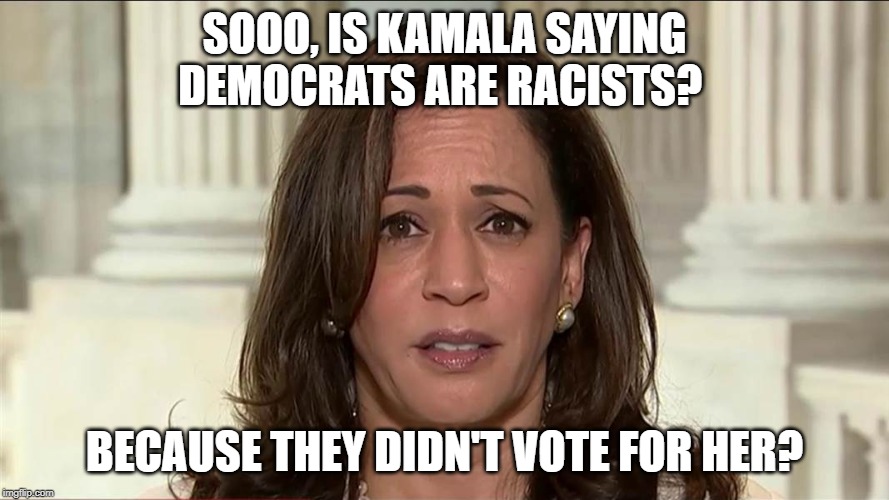 kamala harris | SOOO, IS KAMALA SAYING DEMOCRATS ARE RACISTS? BECAUSE THEY DIDN'T VOTE FOR HER? | image tagged in kamala harris | made w/ Imgflip meme maker