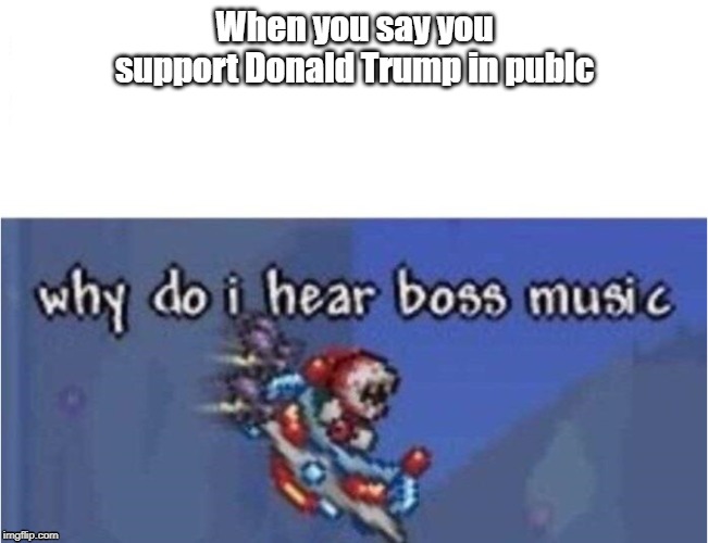 why do i hear boss music | When you say you support Donald Trump in publc | image tagged in why do i hear boss music | made w/ Imgflip meme maker