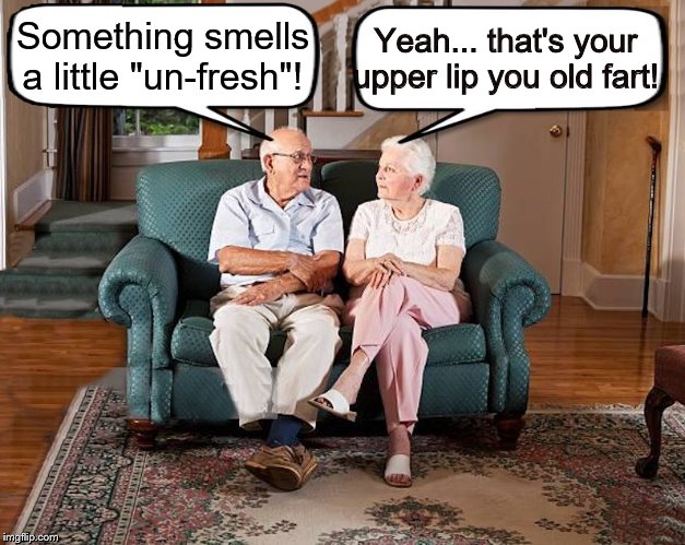 old married couple | Something smells a little "un-fresh"! Yeah... that's your upper lip you old fart! | image tagged in old married couple | made w/ Imgflip meme maker