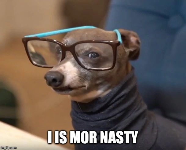 kermit jenna | I IS MOR NASTY | image tagged in kermit jenna | made w/ Imgflip meme maker