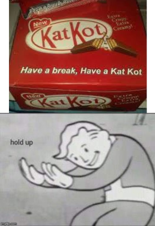 image tagged in fallout hold up | made w/ Imgflip meme maker