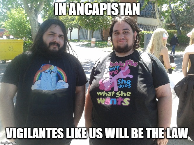 IN ANCAPISTAN; VIGILANTES LIKE US WILL BE THE LAW | image tagged in anarcho capitalism | made w/ Imgflip meme maker