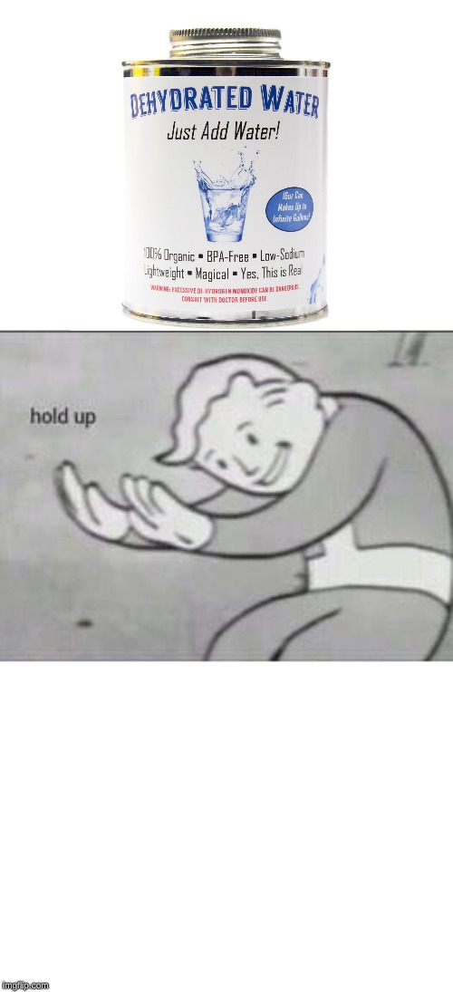 Fallout Hold Up | image tagged in fallout hold up | made w/ Imgflip meme maker