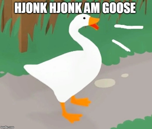 hjonk hjonk am goose | HJONK HJONK AM GOOSE | image tagged in hjonk hjonk am goose | made w/ Imgflip meme maker