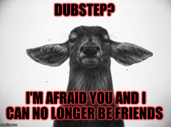 DUBSTEP? I'M AFRAID YOU AND I CAN NO LONGER BE FRIENDS | made w/ Imgflip meme maker