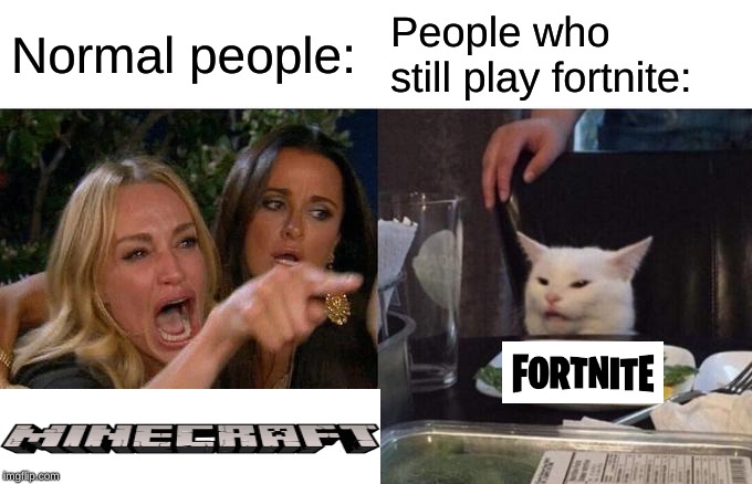 Woman Yelling At Cat | Normal people:; People who still play fortnite: | image tagged in memes,woman yelling at cat | made w/ Imgflip meme maker