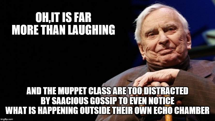 OH,IT IS FAR MORE THAN LAUGHING AND THE MUPPET CLASS ARE TOO DISTRACTED BY SAACIOUS GOSSIP TO EVEN NOTICE WHAT IS HAPPENING OUTSIDE THEIR OW | made w/ Imgflip meme maker