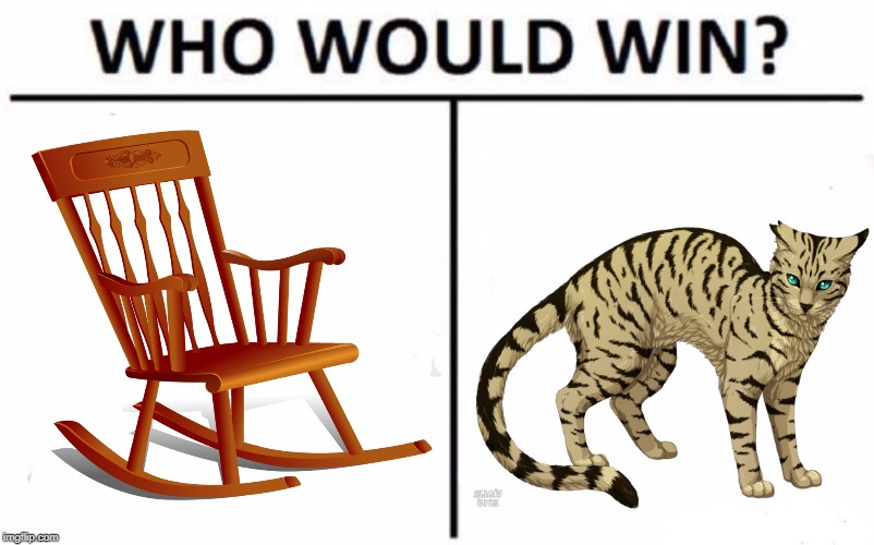 Long-tail Cat -vs- Rocking Chair | image tagged in memes,who would win,cats,cat,cat memes | made w/ Imgflip meme maker