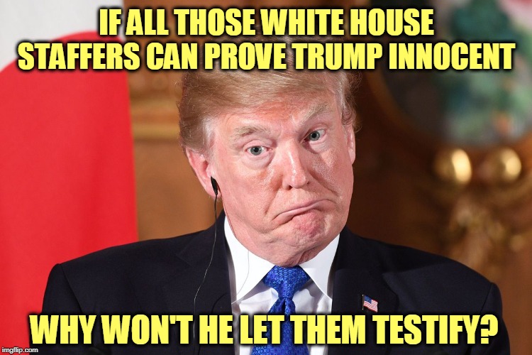 Ooops | IF ALL THOSE WHITE HOUSE STAFFERS CAN PROVE TRUMP INNOCENT; WHY WON'T HE LET THEM TESTIFY? | image tagged in trump dumbfounded corrected,innocence,testify,cover up,obstruction | made w/ Imgflip meme maker