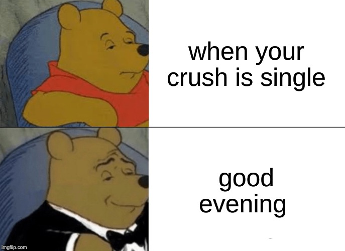 Tuxedo Winnie The Pooh | when your crush is single; good evening | image tagged in memes,tuxedo winnie the pooh | made w/ Imgflip meme maker